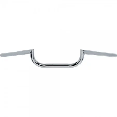 Guidon