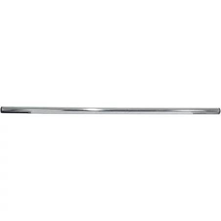 Guidon
